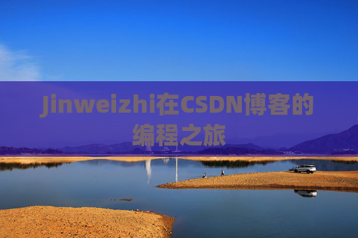 Jinweizhi在CSDN博客的编程之旅